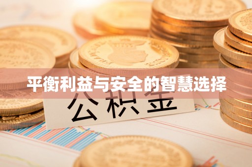 芦淞平衡利益与安全的智慧选择