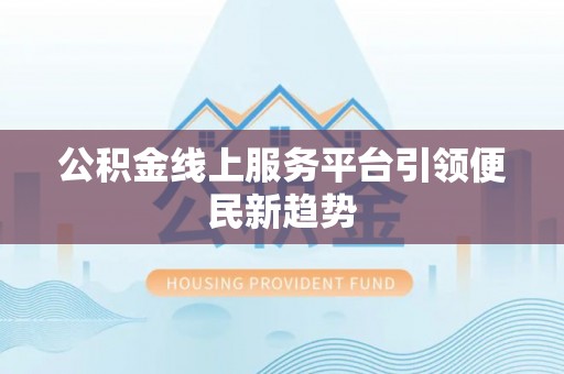 芦淞公积金线上服务平台引领便民新趋势