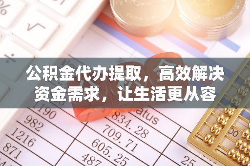 芦淞公积金代办提取，高效解决资金需求，让生活更从容