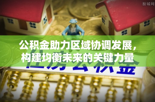 芦淞公积金助力区域协调发展，构建均衡未来的关键力量