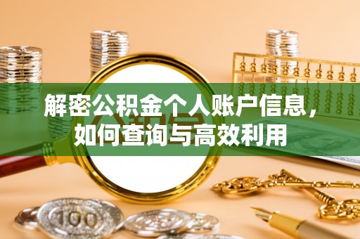 芦淞解密公积金个人账户信息，如何查询与高效利用