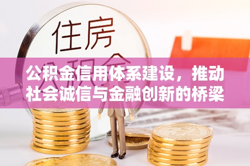芦淞公积金信用体系建设，推动社会诚信与金融创新的桥梁