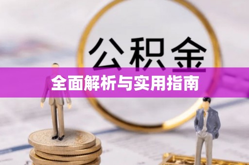 芦淞全面解析与实用指南