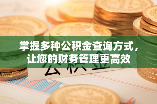 芦淞掌握多种公积金查询方式，让您的财务管理更高效