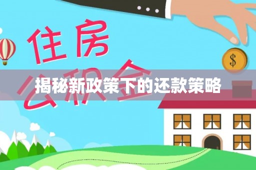 芦淞揭秘新政策下的还款策略