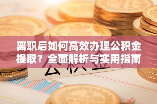 芦淞离职后如何高效办理公积金提取？全面解析与实用指南