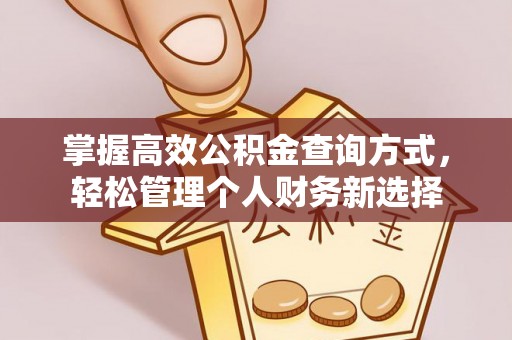 芦淞掌握高效公积金查询方式，轻松管理个人财务新选择