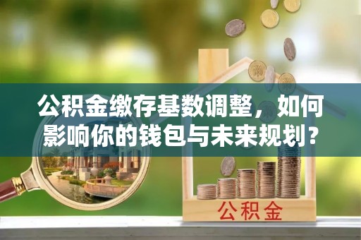 芦淞公积金缴存基数调整，如何影响你的钱包与未来规划？