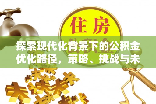 芦淞探索现代化背景下的公积金优化路径，策略、挑战与未来展望