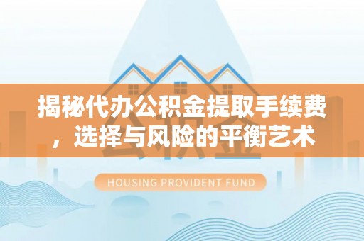 芦淞揭秘代办公积金提取手续费，选择与风险的平衡艺术