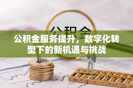 芦淞公积金服务提升，数字化转型下的新机遇与挑战