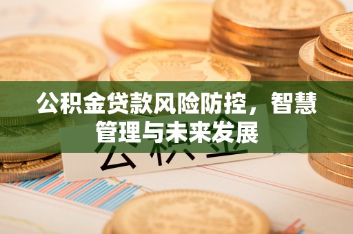 芦淞公积金贷款风险防控，智慧管理与未来发展