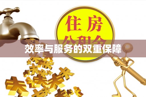 芦淞效率与服务的双重保障