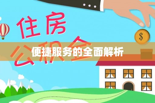 芦淞便捷服务的全面解析