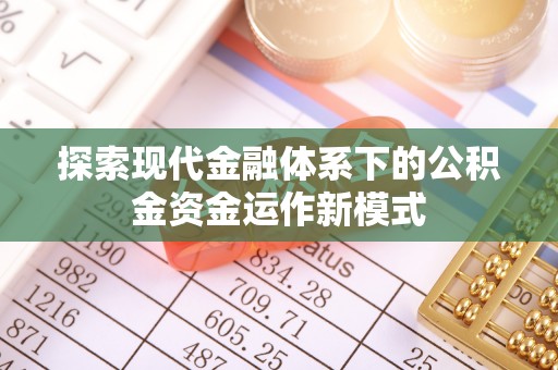 芦淞探索现代金融体系下的公积金资金运作新模式