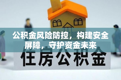 芦淞公积金风险防控，构建安全屏障，守护资金未来