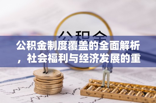 芦淞公积金制度覆盖的全面解析，社会福利与经济发展的重要纽带