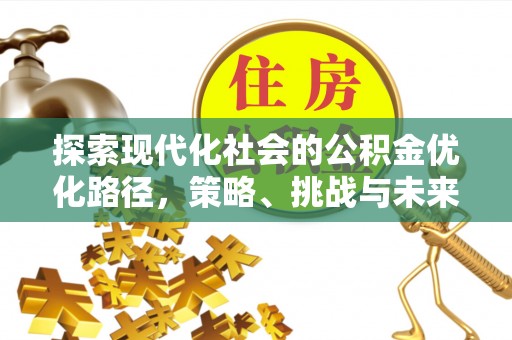 芦淞探索现代化社会的公积金优化路径，策略、挑战与未来展望