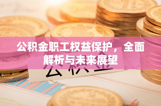芦淞公积金职工权益保护，全面解析与未来展望