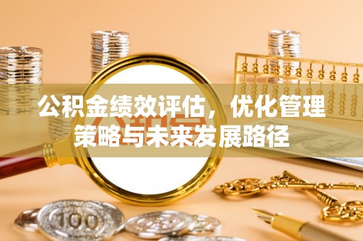 芦淞公积金绩效评估，优化管理策略与未来发展路径