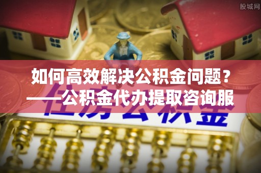 芦淞如何高效解决公积金问题？——公积金代办提取咨询服务指南