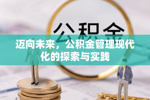 芦淞迈向未来，公积金管理现代化的探索与实践