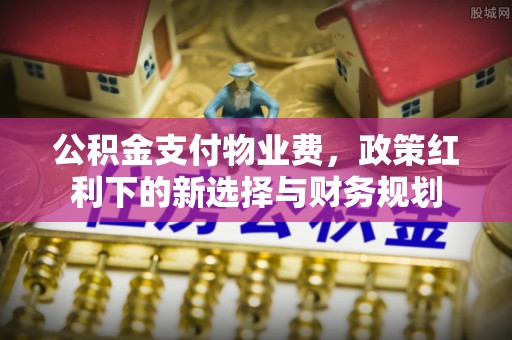 芦淞公积金支付物业费，政策红利下的新选择与财务规划