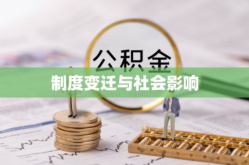 芦淞制度变迁与社会影响