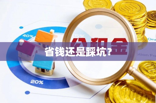 芦淞省钱还是踩坑？
