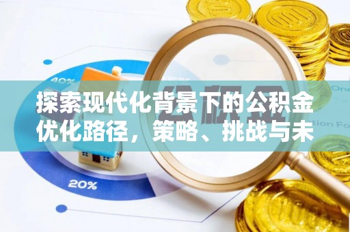 芦淞探索现代化背景下的公积金优化路径，策略、挑战与未来展望