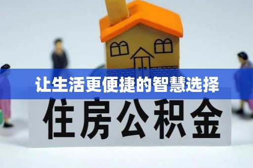 芦淞让生活更便捷的智慧选择