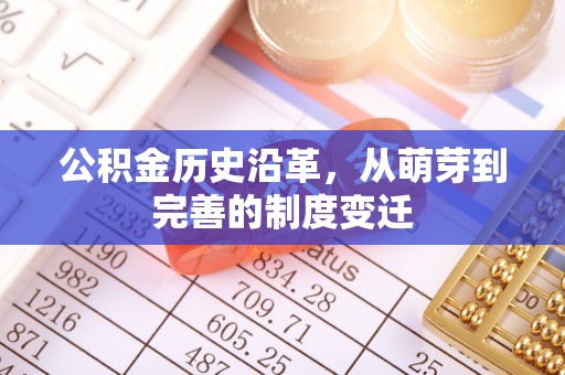 芦淞公积金历史沿革，从萌芽到完善的制度变迁