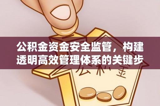 芦淞公积金资金安全监管，构建透明高效管理体系的关键步骤