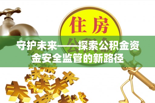 芦淞守护未来——探索公积金资金安全监管的新路径