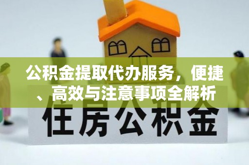 芦淞公积金提取代办服务，便捷、高效与注意事项全解析