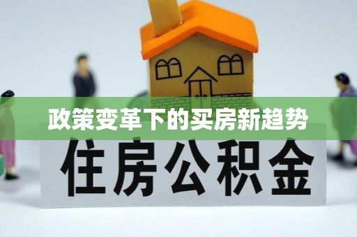 芦淞政策变革下的买房新趋势