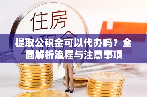芦淞提取公积金可以代办吗？全面解析流程与注意事项