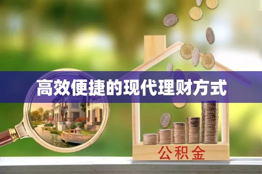 芦淞高效便捷的现代理财方式