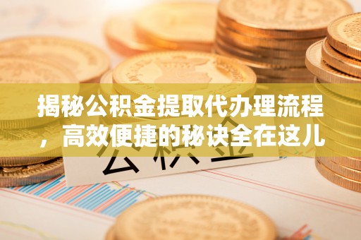 芦淞揭秘公积金提取代办理流程，高效便捷的秘诀全在这儿