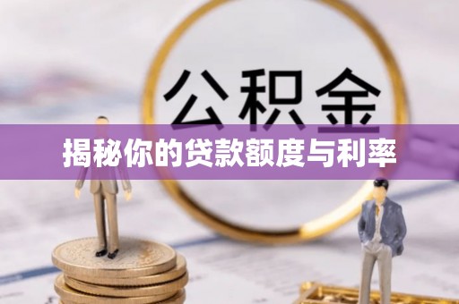 芦淞揭秘你的贷款额度与利率