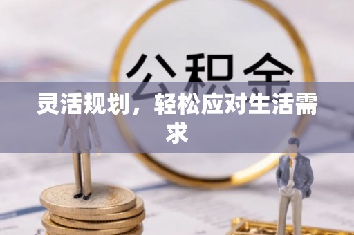 芦淞灵活规划，轻松应对生活需求