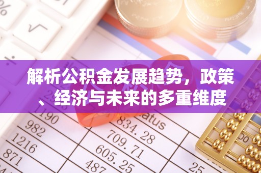 芦淞解析公积金发展趋势，政策、经济与未来的多重维度