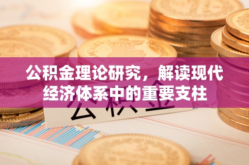 芦淞公积金理论研究，解读现代经济体系中的重要支柱