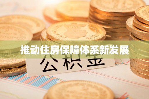 芦淞推动住房保障体系新发展