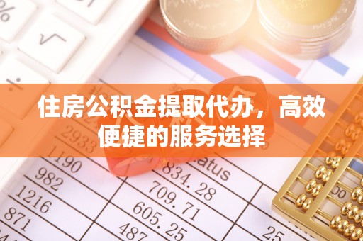 芦淞住房公积金提取代办，高效便捷的服务选择