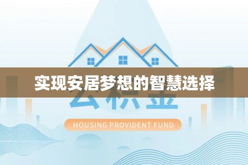 芦淞实现安居梦想的智慧选择
