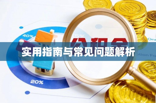 芦淞实用指南与常见问题解析
