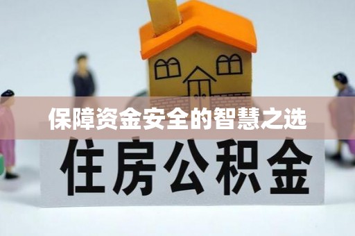 芦淞保障资金安全的智慧之选