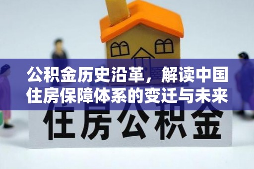 芦淞公积金历史沿革，解读中国住房保障体系的变迁与未来