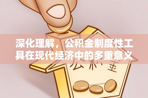 芦淞深化理解，公积金制度性工具在现代经济中的多重意义